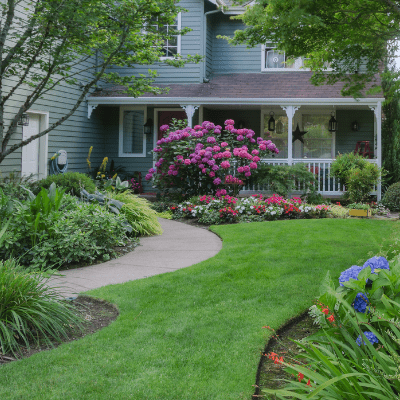 Landscape Construction